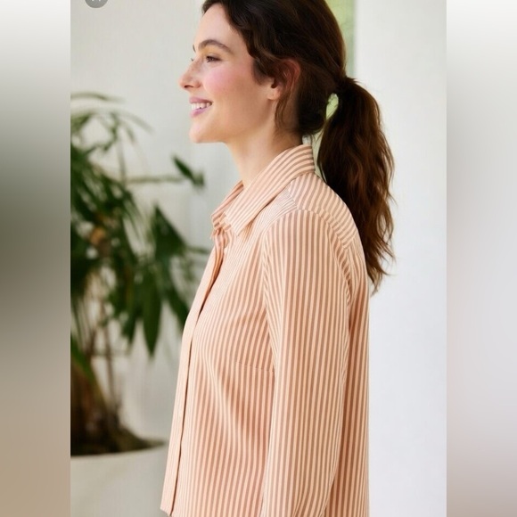 Loro Piana Rust and Cream Striped Button-Down Shirt - Picture 10 of 12